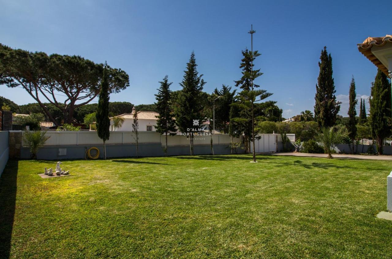 Villa Coelho - By Dalma Portuguesa البوفيرا المظهر الخارجي الصورة